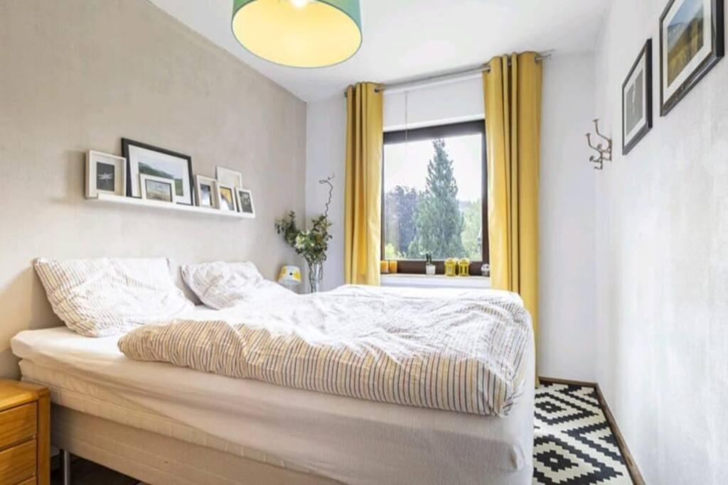 Apartment Mit Kamin-Sonnendurchflutet-Balkon Winterberg Exteriör bild